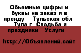 Обьемные цифры и буквы на заказ и в аренду! - Тульская обл., Тула г. Свадьба и праздники » Услуги   